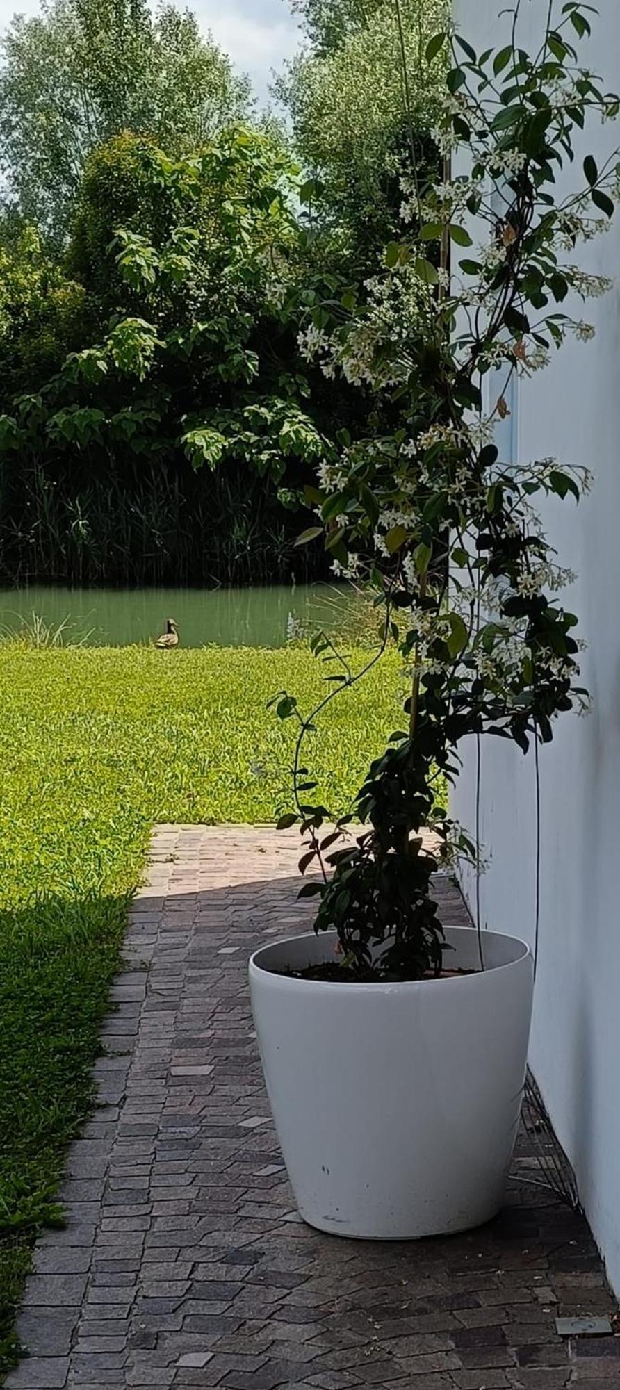 Locazione Riv'Al Sile Hotel Quinto Di Treviso Bagian luar foto